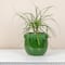 Hello Honey® 10.5" Green Raised Dots Terra Cotta Planter